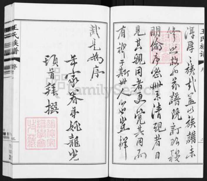 江苏省扬州市江都区大桥镇王氏三槐堂族谱-王氏族谱.pdf电子版预览图4