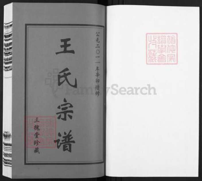 江苏省无锡市江阴市周庄镇王氏三槐堂族谱-西沙王氏宝池支谱.pdf电子版预览图1