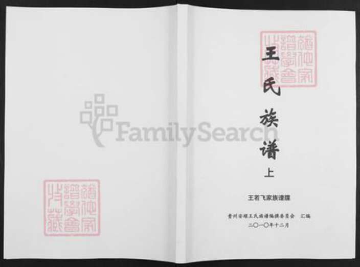 贵州省安顺市普定县王氏三槐堂族谱-王氏族谱.王若飞家族谱牒.pdf电子版缩略图