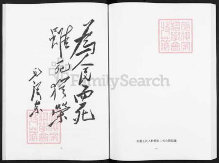 贵州省安顺市普定县王氏三槐堂族谱-王氏族谱.王若飞家族谱牒.pdf电子版预览图5
