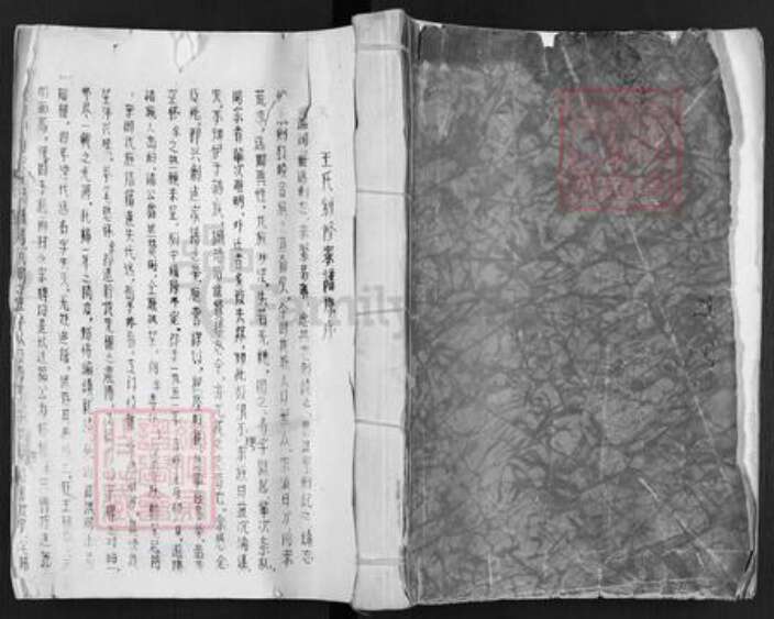 河南省新乡市长垣县王氏族谱-王氏家谱.pdf电子版缩略图