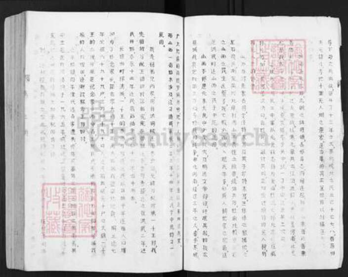 河南省新乡市长垣县王氏族谱-王氏家谱.pdf电子版预览图2