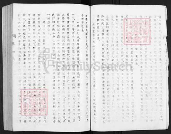 河南省新乡市长垣县王氏族谱-王氏家谱.pdf电子版预览图3