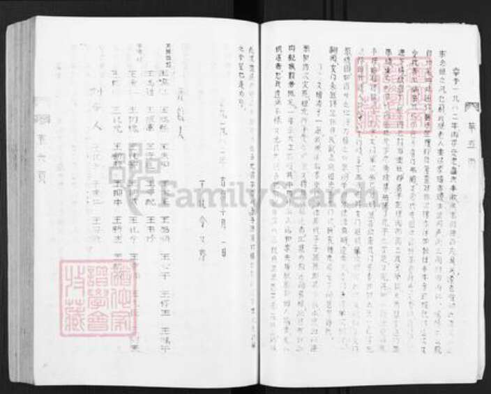 河南省新乡市长垣县王氏族谱-王氏家谱.pdf电子版预览图5