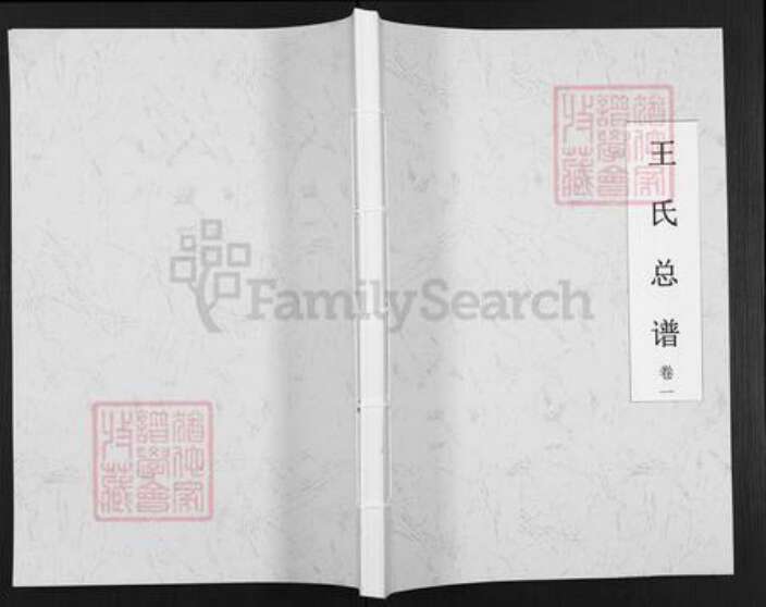 湖南省邵阳市武冈市武冈王氏三槐堂族谱-王氏总谱.pdf电子版缩略图