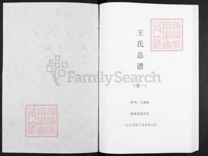 湖南省邵阳市武冈市武冈王氏三槐堂族谱-王氏总谱.pdf电子版预览图1