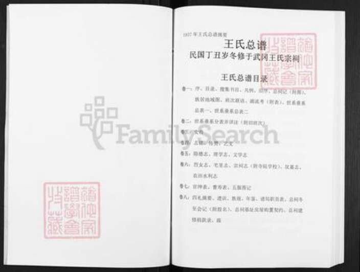湖南省邵阳市武冈市武冈王氏三槐堂族谱-王氏总谱.pdf电子版预览图2