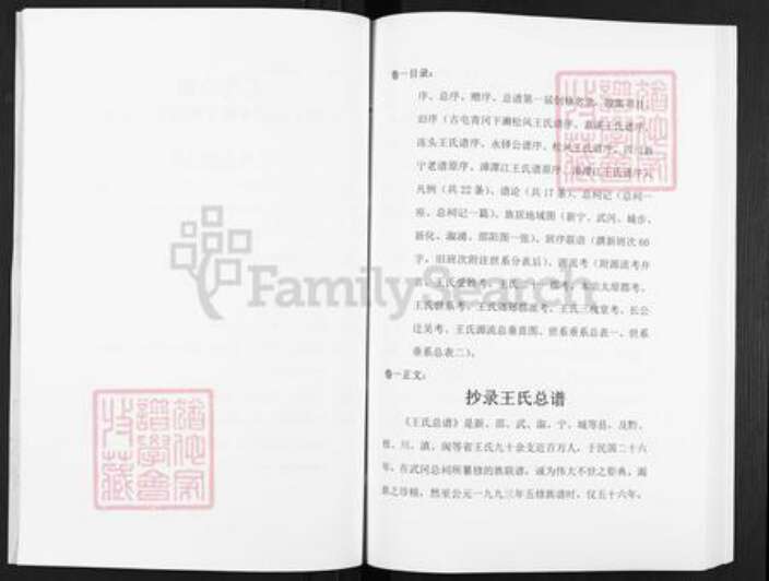 湖南省邵阳市武冈市武冈王氏三槐堂族谱-王氏总谱.pdf电子版预览图3