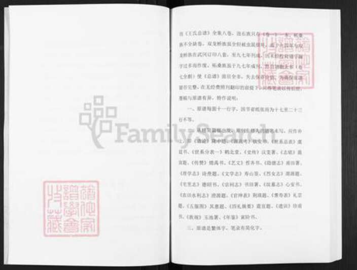 湖南省邵阳市武冈市武冈王氏三槐堂族谱-王氏总谱.pdf电子版预览图4