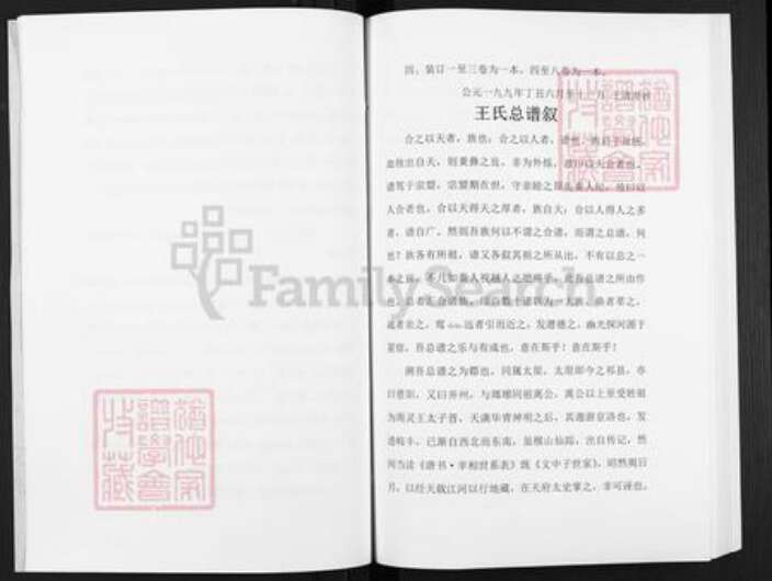 湖南省邵阳市武冈市武冈王氏三槐堂族谱-王氏总谱.pdf电子版预览图5