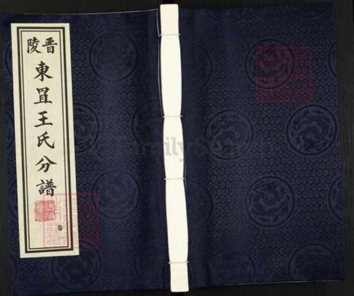 江苏省常州市武进县王氏德符堂族谱-晋陵东罝王氏分谱.pdf电子版缩略图