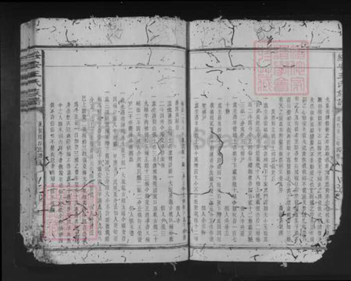 福建省三明市建宁县王氏族谱-绥安王氏族谱.pdf电子版预览图3