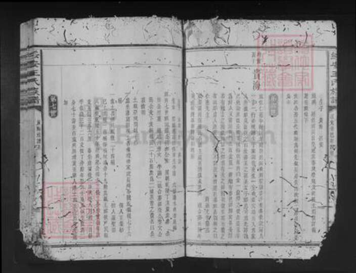 福建省三明市建宁县王氏族谱-绥安王氏族谱.pdf电子版预览图5