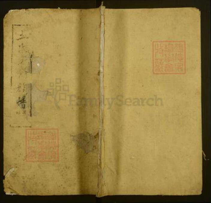 湖南省湘潭市湘潭县王氏植槐堂族谱-湘潭石浦王氏七修族谱.pdf电子版缩略图