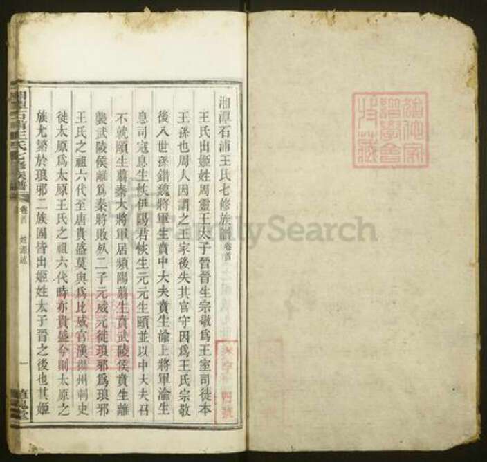 湖南省湘潭市湘潭县王氏植槐堂族谱-湘潭石浦王氏七修族谱.pdf电子版预览图2