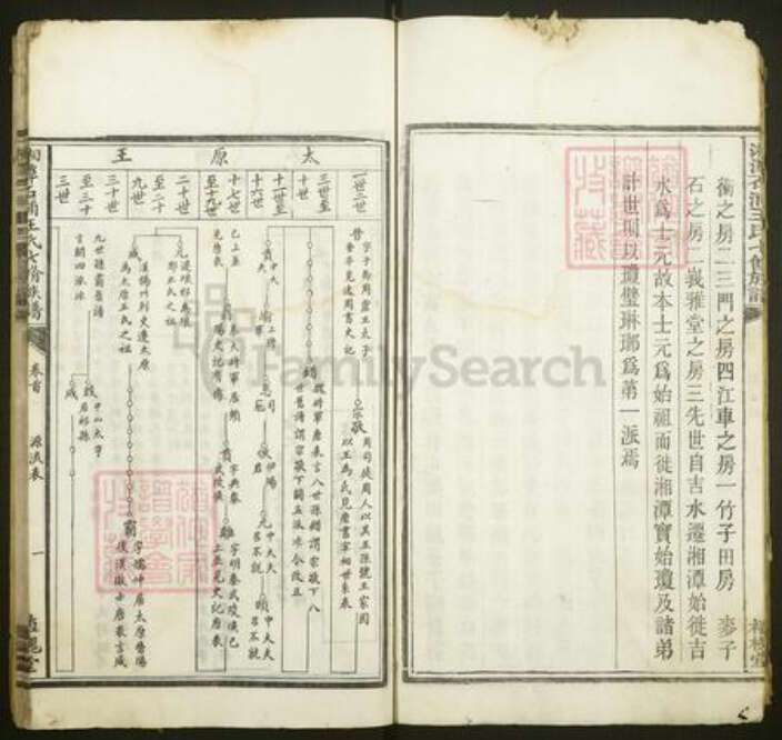 湖南省湘潭市湘潭县王氏植槐堂族谱-湘潭石浦王氏七修族谱.pdf电子版预览图5