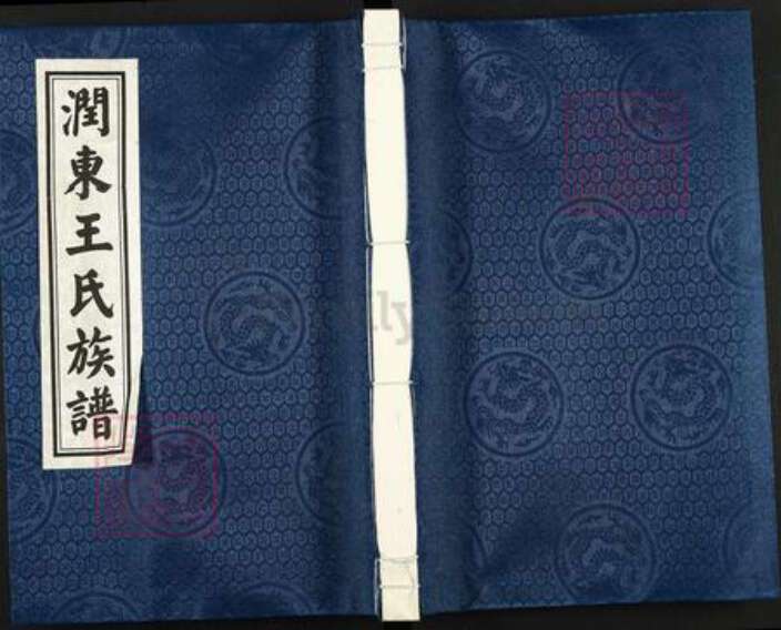 江苏省镇江市丹阳市丹北镇王氏三槐堂族谱-润东王氏族谱.pdf电子版缩略图