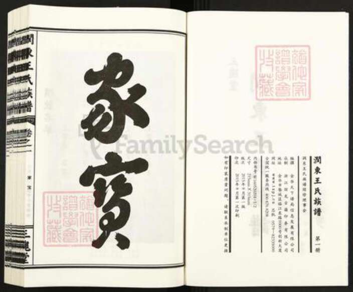 江苏省镇江市丹阳市丹北镇王氏三槐堂族谱-润东王氏族谱.pdf电子版预览图2