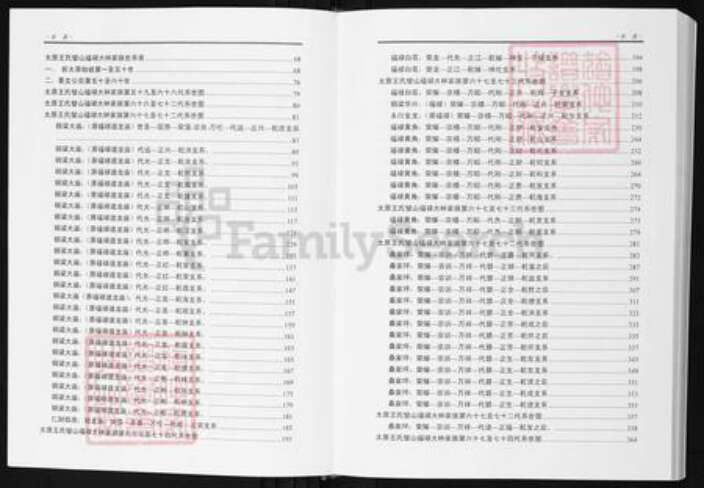 重庆市璧山区福禄镇王氏族谱-太原王氏.璧山福禄大林家族族谱.pdf电子版预览图3