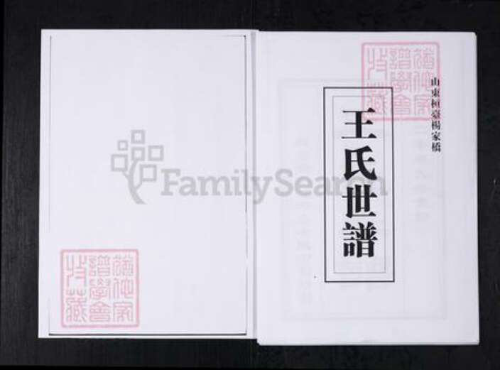 山东省淄博市桓台县王氏族谱-王氏世谱.山东桓台杨家村.pdf电子版缩略图