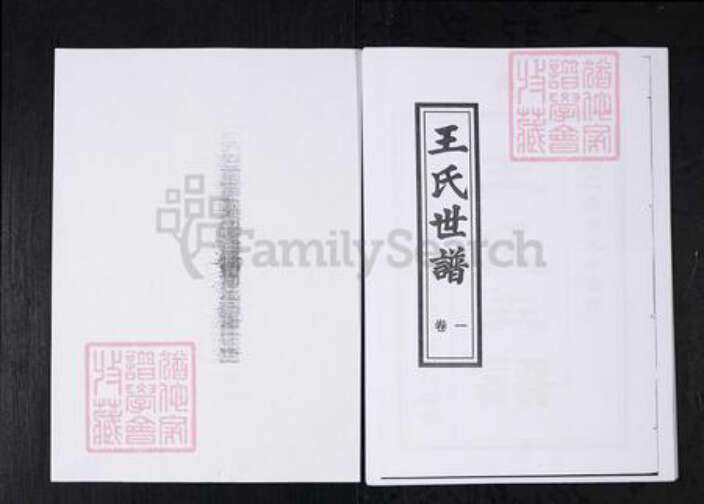 山东省淄博市桓台县王氏族谱-王氏世谱.山东桓台杨家村.pdf电子版预览图1