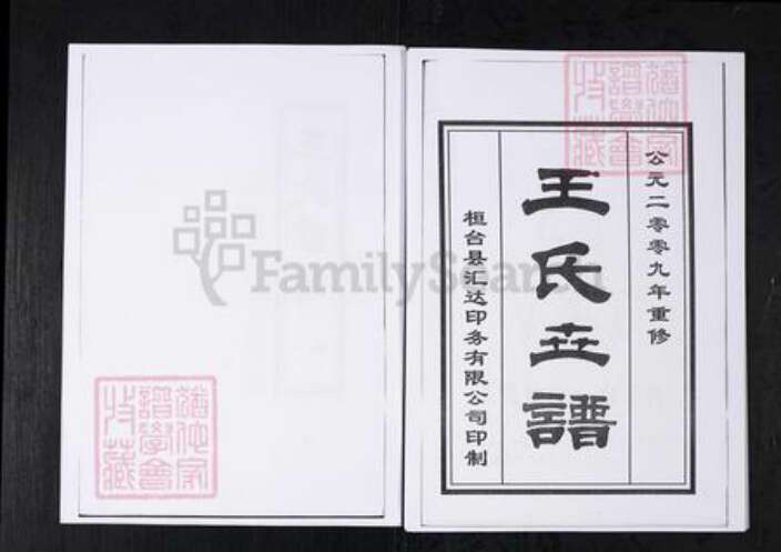 山东省淄博市桓台县王氏族谱-王氏世谱.山东桓台杨家村.pdf电子版预览图2