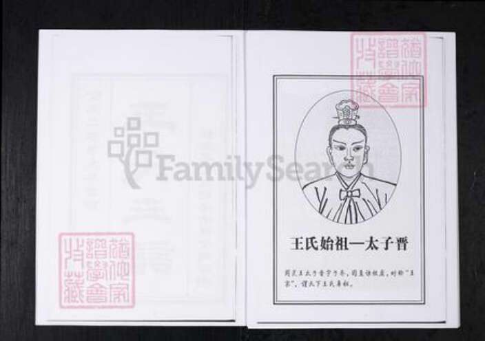 山东省淄博市桓台县王氏族谱-王氏世谱.山东桓台杨家村.pdf电子版预览图3