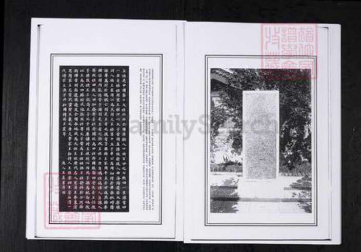 山东省淄博市桓台县王氏族谱-王氏世谱.山东桓台杨家村.pdf电子版预览图4