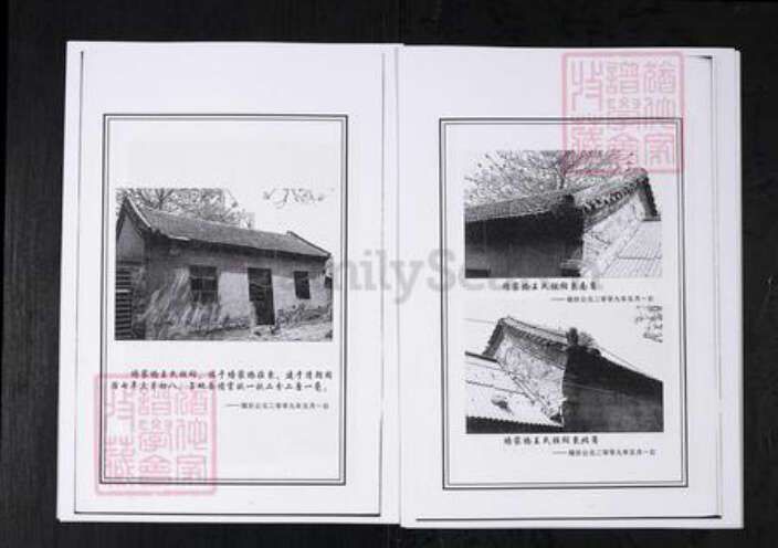 山东省淄博市桓台县王氏族谱-王氏世谱.山东桓台杨家村.pdf电子版预览图5