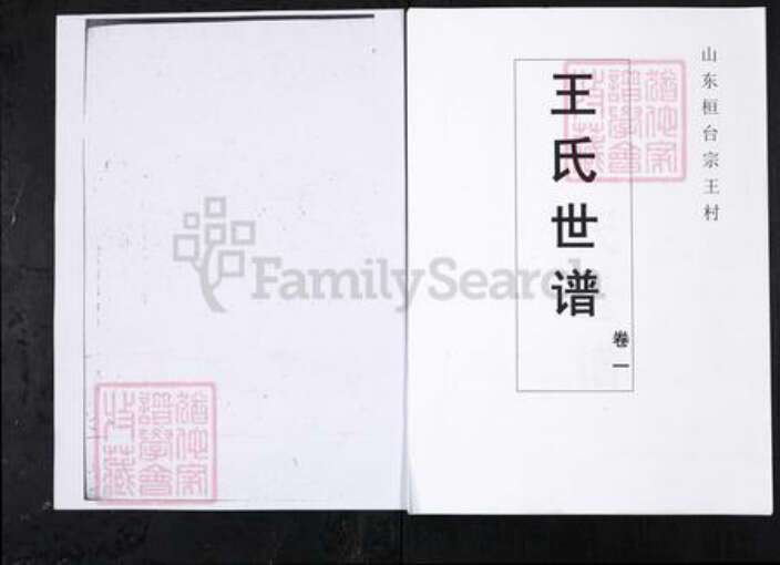 山东省淄博市桓台县王氏族谱-王氏世谱.山东桓台宗王村[4卷].pdf电子版缩略图