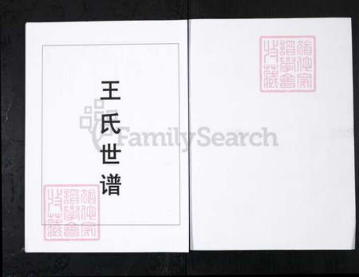 山东省淄博市桓台县王氏族谱-王氏世谱.山东桓台宗王村[4卷].pdf电子版预览图1