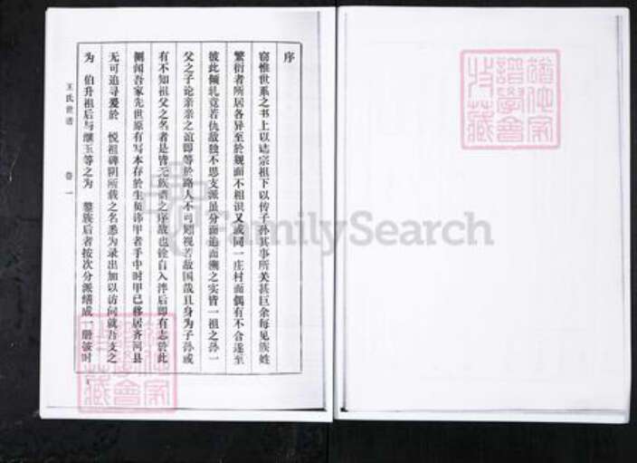 山东省淄博市桓台县王氏族谱-王氏世谱.山东桓台宗王村[4卷].pdf电子版预览图4