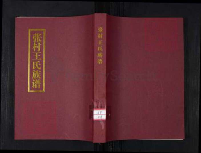 山东省青岛市王氏族谱-张村王氏族谱.pdf电子版缩略图