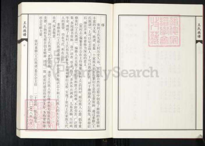 山东省青岛市王氏族谱-张村王氏族谱.pdf电子版预览图3