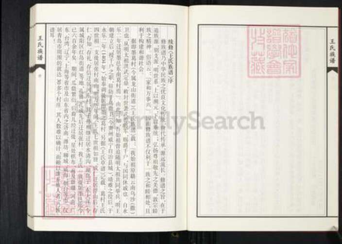 山东省青岛市王氏族谱-张村王氏族谱.pdf电子版预览图4