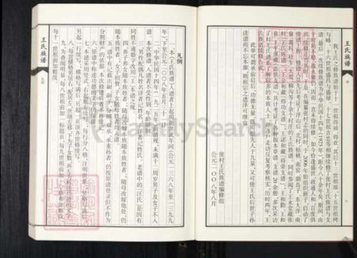 山东省青岛市王氏族谱-张村王氏族谱.pdf电子版预览图5