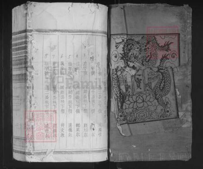 江西省上饶市鄱阳县王氏族谱-琅琊王氏宗谱.pdf电子版预览图1