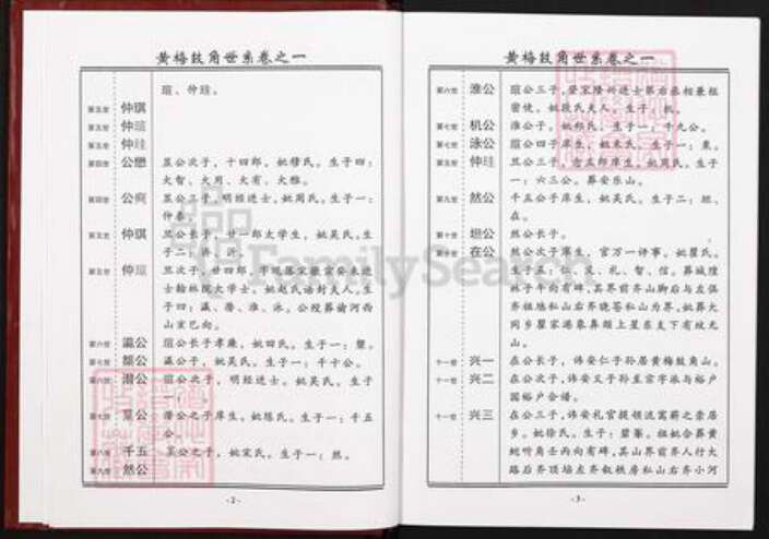 湖北省黄冈市黄梅县王氏三槐堂族谱-王氏宗谱.pdf电子版预览图3