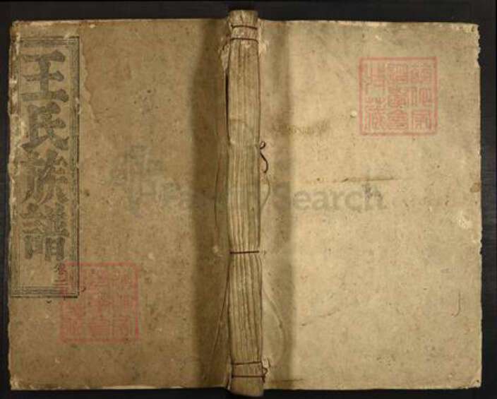 广东省韶关市仁化县大桥镇王氏族谱-王氏族谱.pdf电子版缩略图