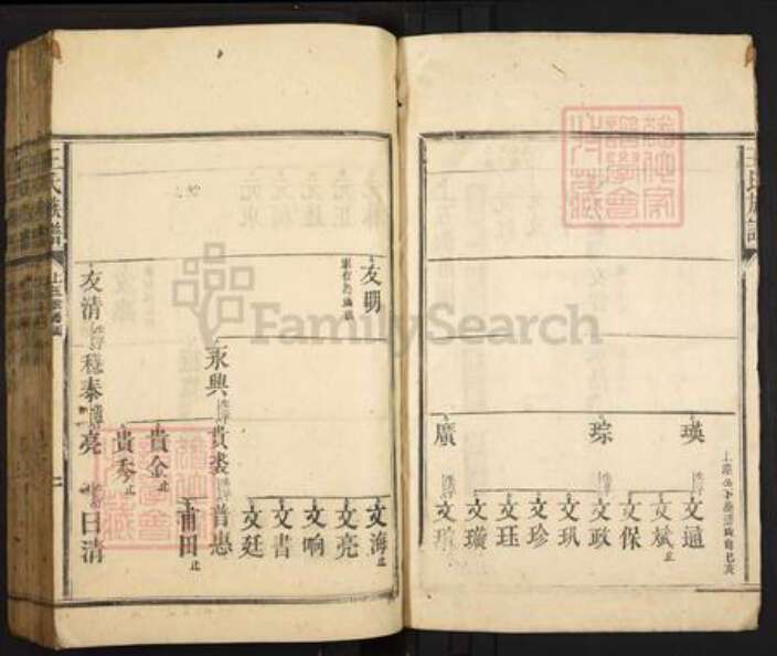 广东省韶关市仁化县大桥镇王氏族谱-王氏族谱.pdf电子版预览图2