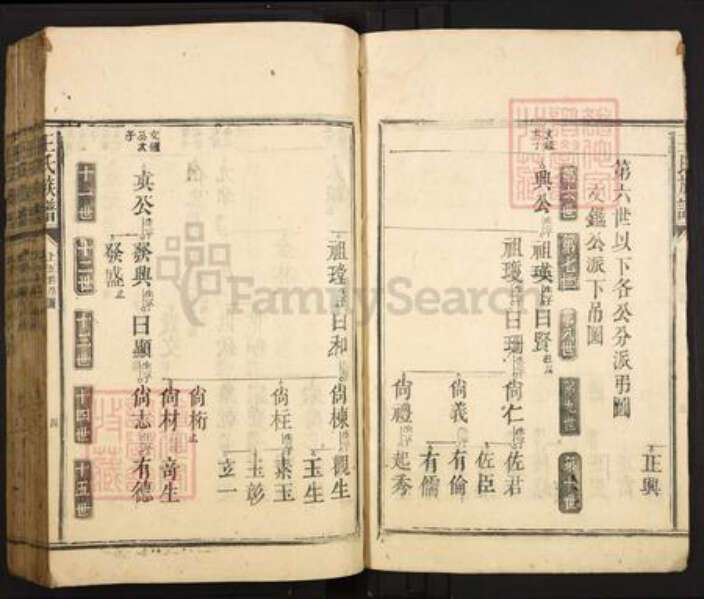 广东省韶关市仁化县大桥镇王氏族谱-王氏族谱.pdf电子版预览图4