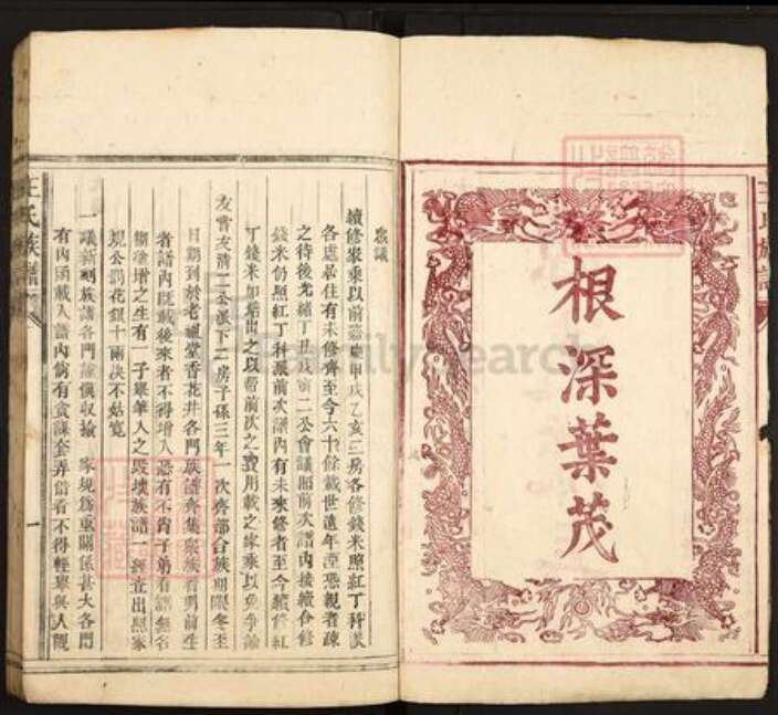 广东省韶关市仁化县大桥镇王氏太原堂族谱-王氏族谱.pdf电子版预览图2