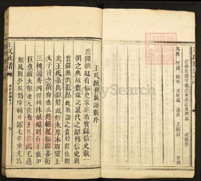 广东省韶关市仁化县大桥镇王氏太原堂族谱-王氏族谱.pdf电子版预览图3