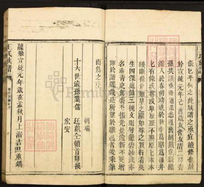 广东省韶关市仁化县大桥镇王氏太原堂族谱-王氏族谱.pdf电子版预览图5