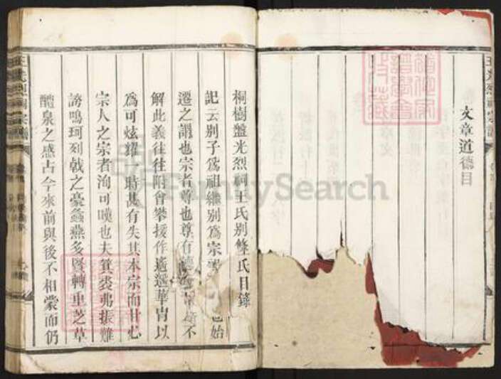 江西省上饶市广丰区王氏族谱-王光烈祠宗谱.pdf电子版预览图3