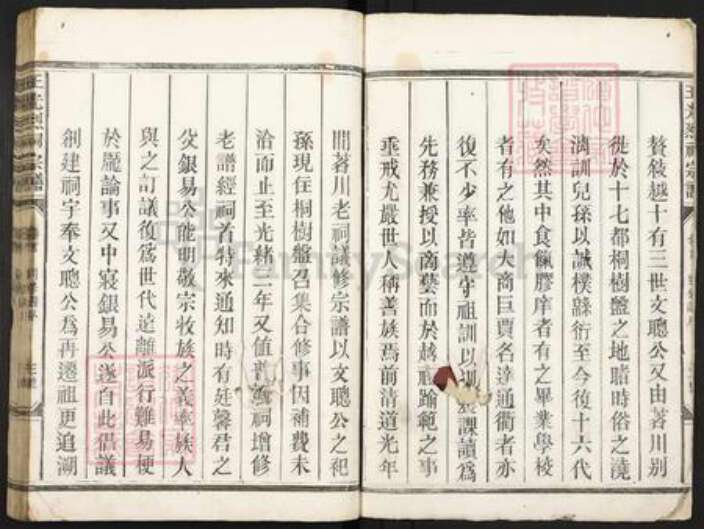 江西省上饶市广丰区王氏族谱-王光烈祠宗谱.pdf电子版预览图5