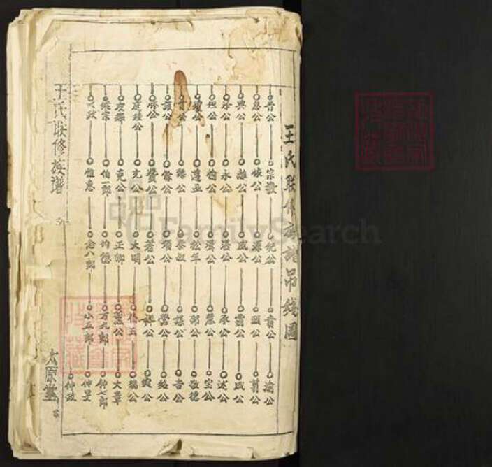 广东省梅州市兴宁市石马镇王氏太原堂族谱-王氏联修族谱.pdf电子版预览图1