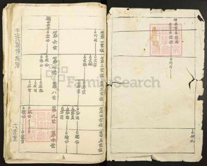 广东省梅州市兴宁市石马镇王氏太原堂族谱-王氏联修族谱.pdf电子版预览图2