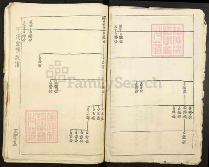 广东省梅州市兴宁市石马镇王氏太原堂族谱-王氏联修族谱.pdf电子版预览图4