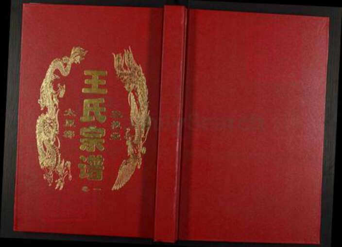 安徽省合肥市王氏三槐堂族谱-王氏宗谱.pdf电子版缩略图